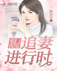 豪门夜宴：追妻进行时！